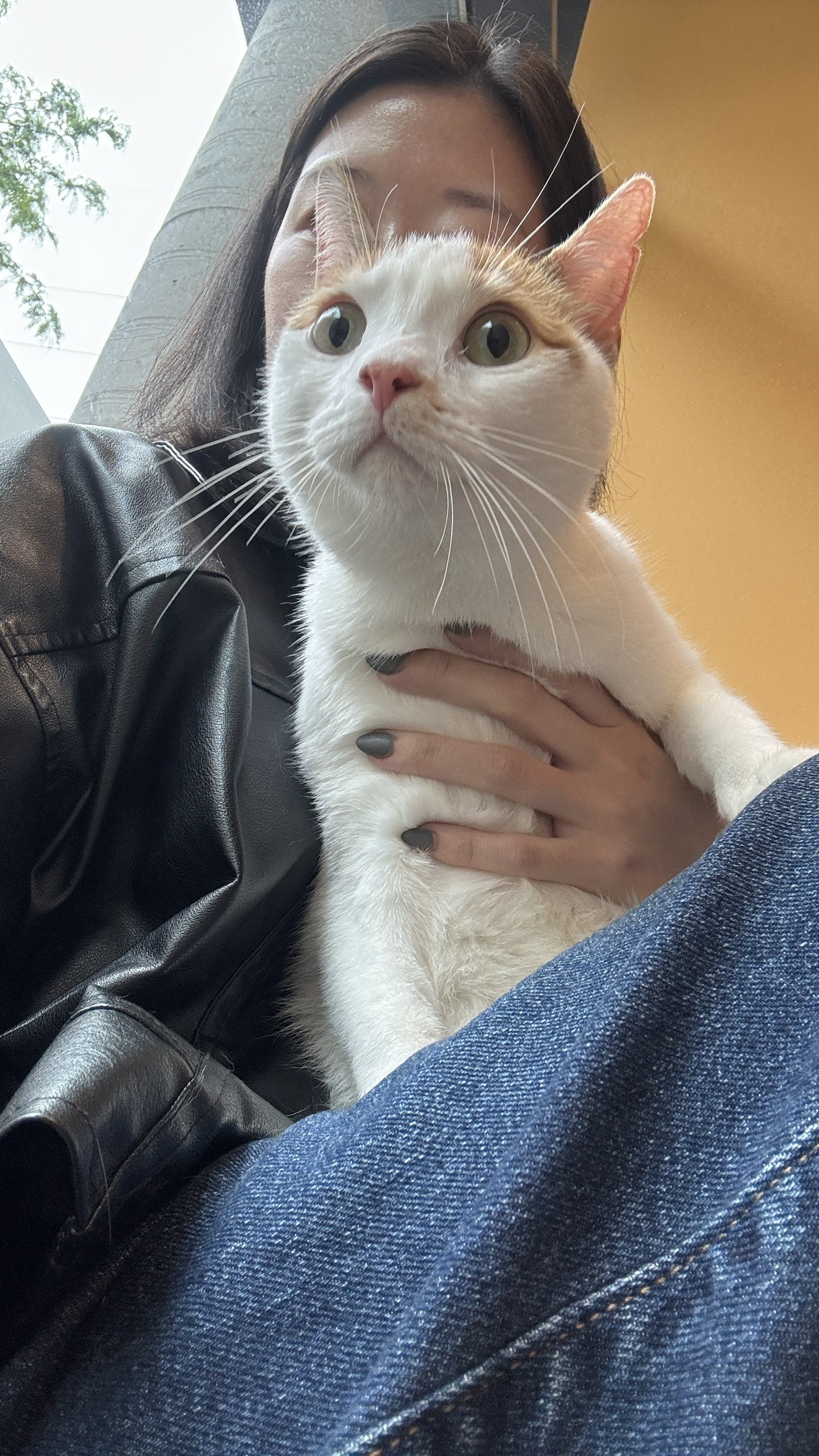 woman smiling with her cat